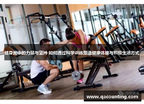 健身房中的力量与坚持 如何通过科学训练塑造健康体魄与积极生活方式